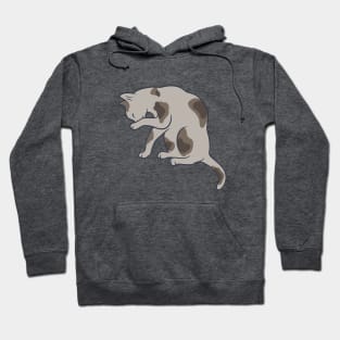 Keep it clean – this is all the cat mean (pose 4) Hoodie